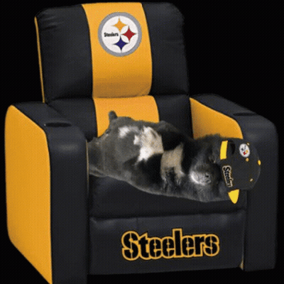 Black And Yellow Steelers Chair With Dog GIF