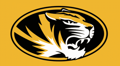 Black And Yellow Tiger Head Logo GIF