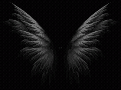 Black Angel Wings Spread Out GIF
