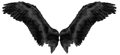 Black Angel Wings With Picmix Text Sticker