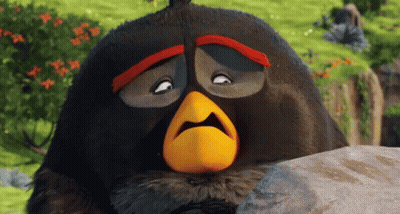 Black Angry Bird With Orange Beak On Rock GIF