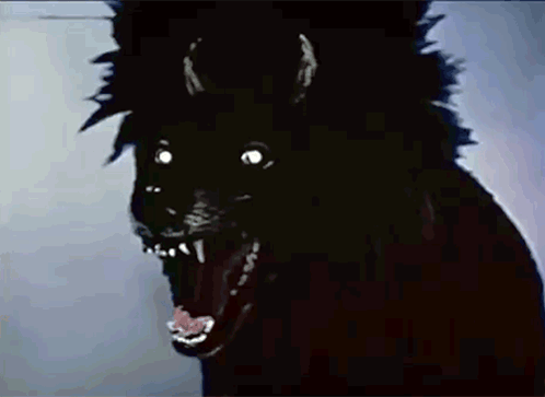 Black Animal With Horns And Glowing Eyes GIF