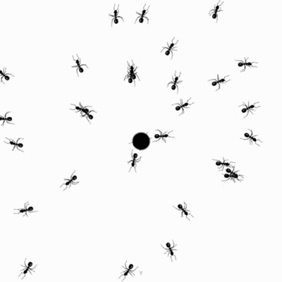 Black Ants Gathered Around Black Ball GIF