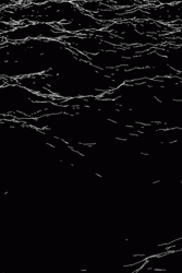 Download Abstraction Background Black Waves Wallpaper in 2560x1920  Resolution
