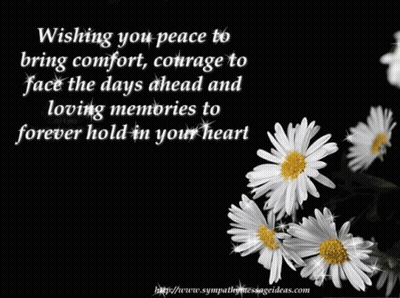 Black Background White Daisies Wishing You Peace GIF
