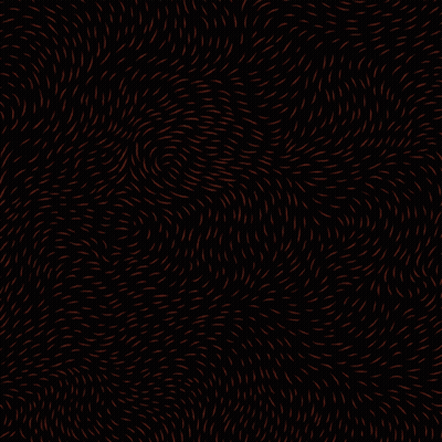 Black Background With His Name Was Adam Toledo GIF
