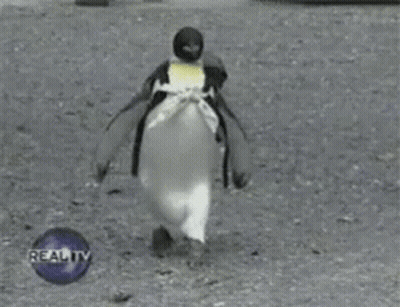 Black Bag With Letter G GIF