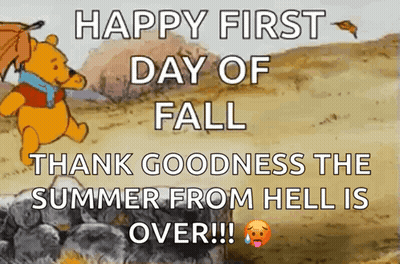 Black Bear Walking Through Forest With Stick GIF