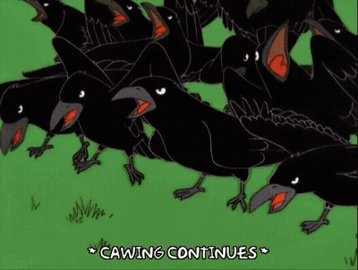 Black Bird Held In Hand Those Who Crow GIF