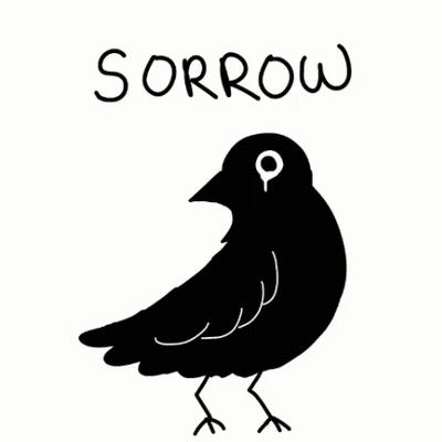 Black Bird Saying Sorrow GIF