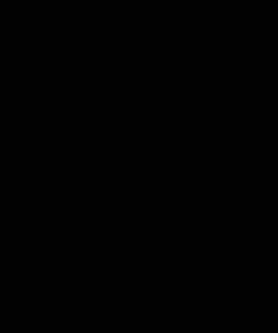Black Bird Silhouette With White Eye GIF