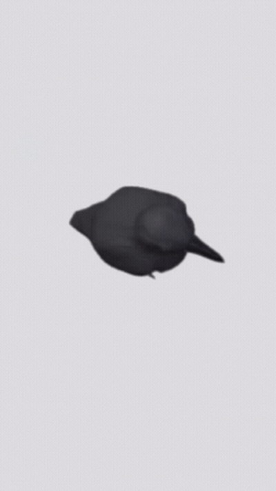 Black Bird Sitting On Gray Background GIF
