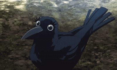 Black Bird With Long Beak Standing On Rocky Surface GIF