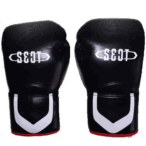 Black Boxing Gloves With SEO Letters Sticker