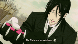Black Butler Talking About Cats