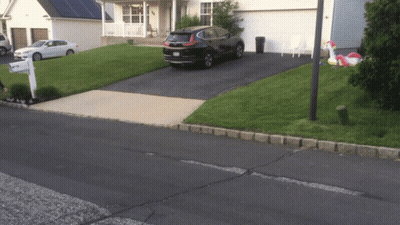 Black Car In Front Of White House With Mailbox Saying A GIF