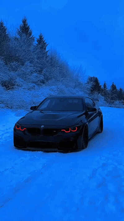 Black Car Parked In Snow In Front Of Snowy Forest GIF