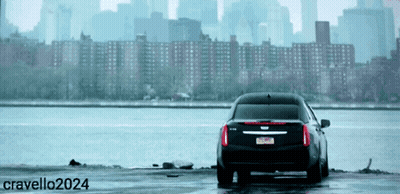 Black Car With New York License Plate On Shore GIF