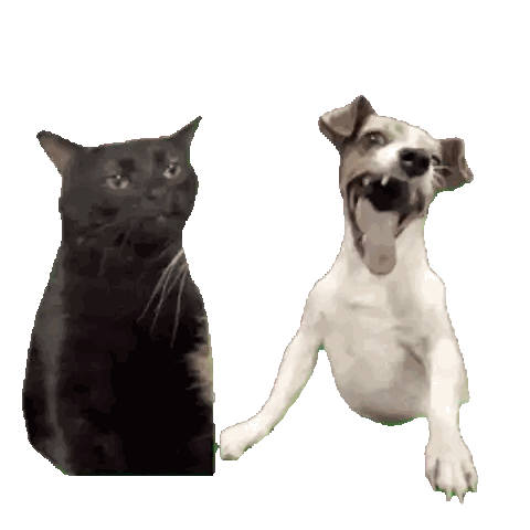 Black Cat And Brown White Dog Standing Sticker