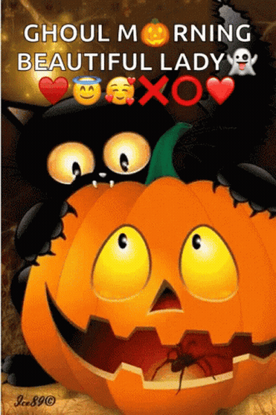Black Cat and Pumpkin Saying Ghoul Morning Beautiful Lady Xoxo
