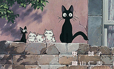 Black Cat and Three Kittens