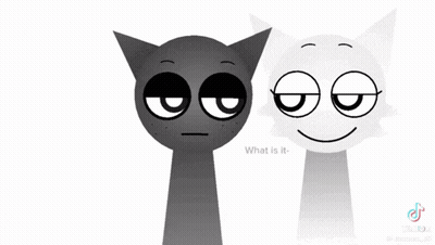 Black Cat And White Cat Eyes Closed GIF