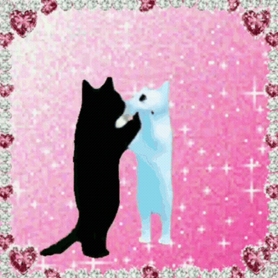 Black Cat And White Cat Hugging On Pink Background GIF