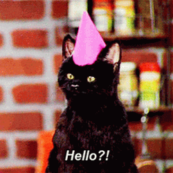 Black Cat Birthday Hat Hello GIF