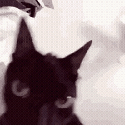 Black Cat Close Up With G On Face GIF
