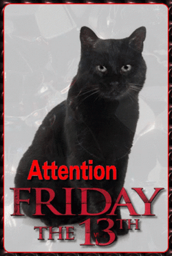 Black Cat Color Changing Eyes Friday The 13Th GIF