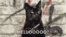 Black Cat Filing Nails Salem Hello Anybody There GIF