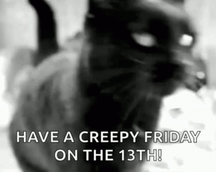 Black Cat Friday The 13Th GIF
