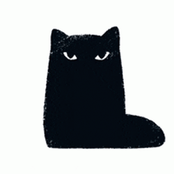 Black Cat Glare GIF