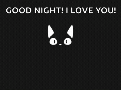 Black Cat Good Night I Love You GIF