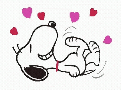 Black Cat Happy Tuesday GIF