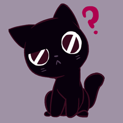 Black Cat Has A Question GIF