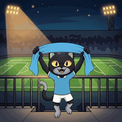 Black Cat Holding Blue Scarf In Soccer Field GIF