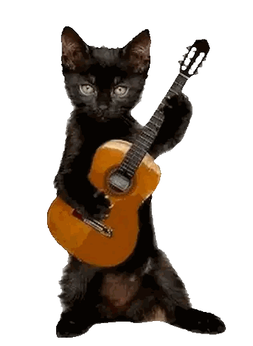Black Cat Holding Guitar Sticker