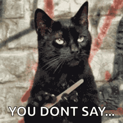 Black Cat Holding Knife Saying You Dont Say GIF