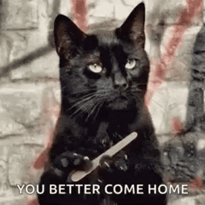 Black Cat Holding Nail File GIF