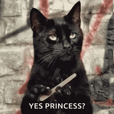 Black Cat Holding Nail File Asking If She Is A Princess GIF