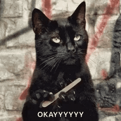 Black Cat Holding Nail File By Brick Wall GIF