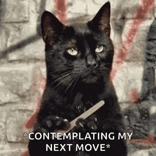 Black Cat Holding Nail File Contemplating Next Move GIF