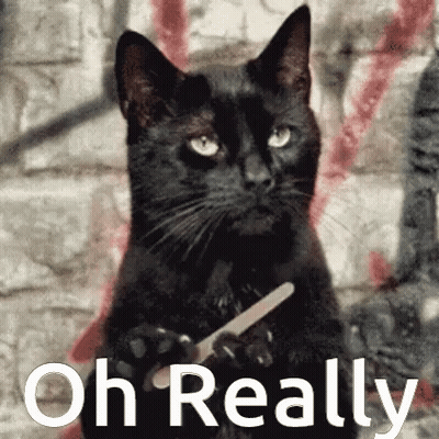 Black Cat Holding Nail File Oh Really GIF