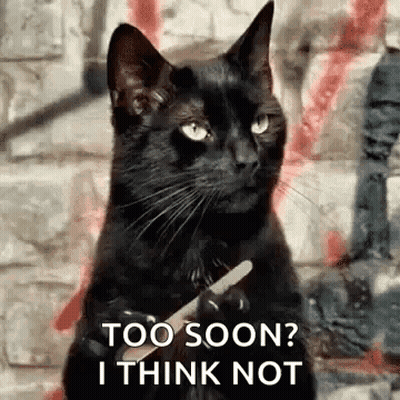 Black Cat Holding Pencil Says Too Soon I Think Not GIF