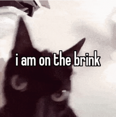 Black Cat I Am On The Brink GIF