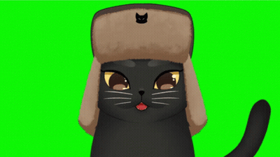 Black Cat In Furry Hat With Cat GIF