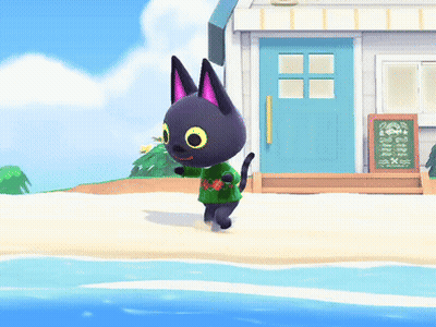 Black Cat In Green Sweater On Beach GIF