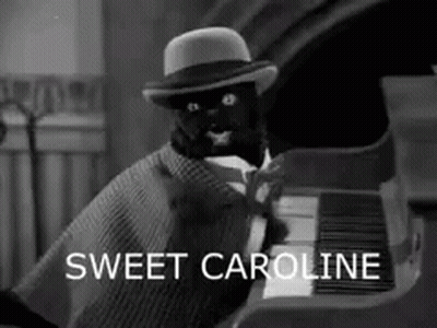 gato negro con sombrero y capa tocando piano Sweet Caroline GIF