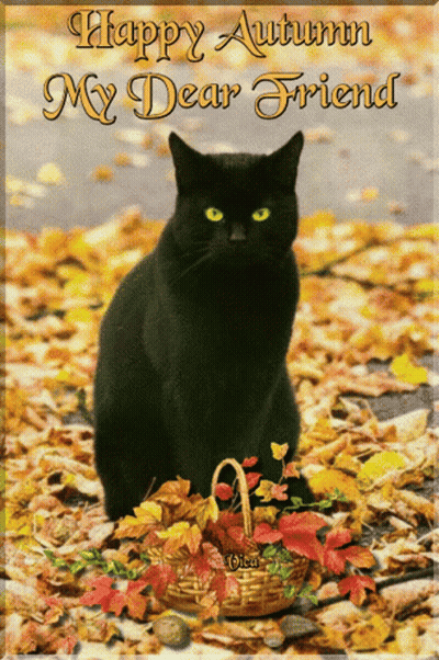 Black Cat In Leaves Happy Autumn My Dear Friend GIF
